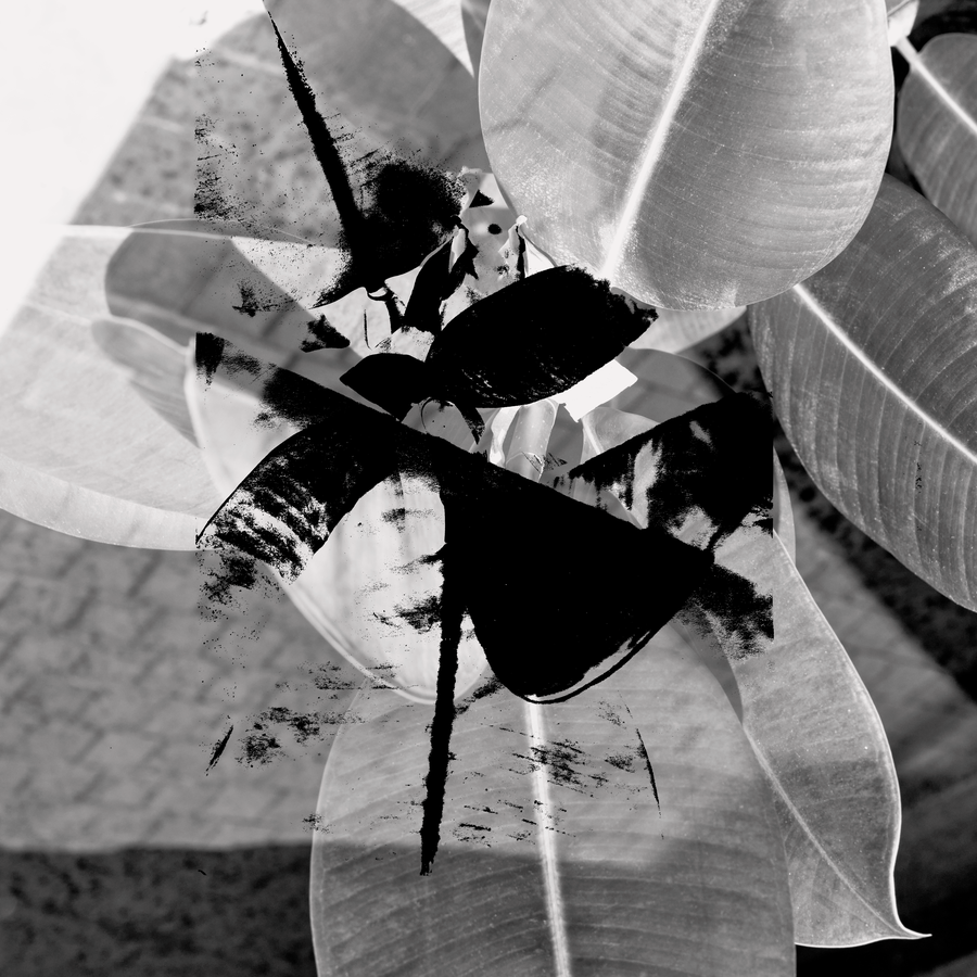 Àrtic 6_14062021_019